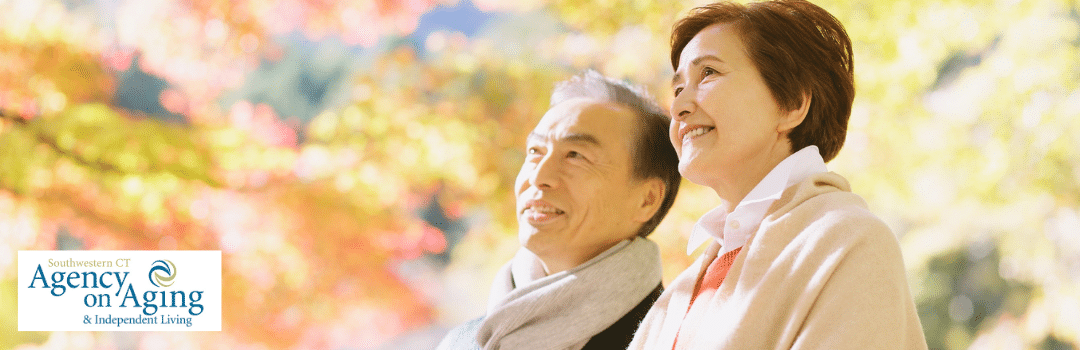 Brown Blue Denim Jeans Fashion Sale Website Banner (7)